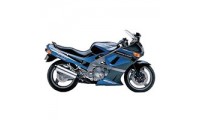 Kawasaki ZZR600 Verkleidung