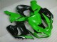 Grün Weiß Schwarz Kawasaki ZX6R 2005-2006 Motorrad Verkleidungen Grün Weiß Schwarz Kawasaki ZX6R 2005-2006 Motorrad Verkleidungen