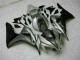 Silber Honda CBR 1000 RR 2006-2007 Motorrad Verkleidungen
